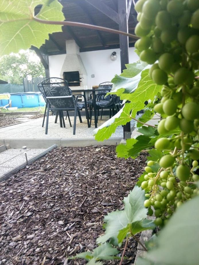 Cyklo ubytování a vinný sklep Žádovice Esterno foto
